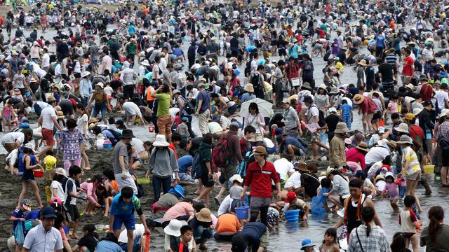 Warga Jepang Berburu Kerang di Pantai