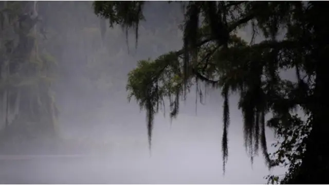 Courtesy ListVerse.com