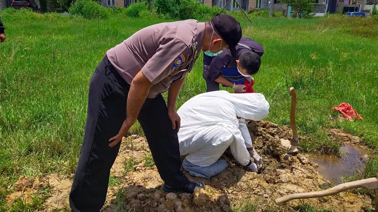 Hewan Mati Mendadak di Bekasi
