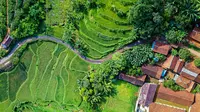 Desentralisasi Adalah Penyerahan Wewenang ke Daerah, Kenali Bedanya dengan Sentralisasi