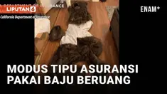 Empat orang ditangkap di California, Amerika Serikat, karena menggunakan pakaian beruang dan merusak mobil mewah. Mereka merekayasa kerusakan mobil mewah untuk menipu perusahaan asuransi. Simak laporan VOA berikut.