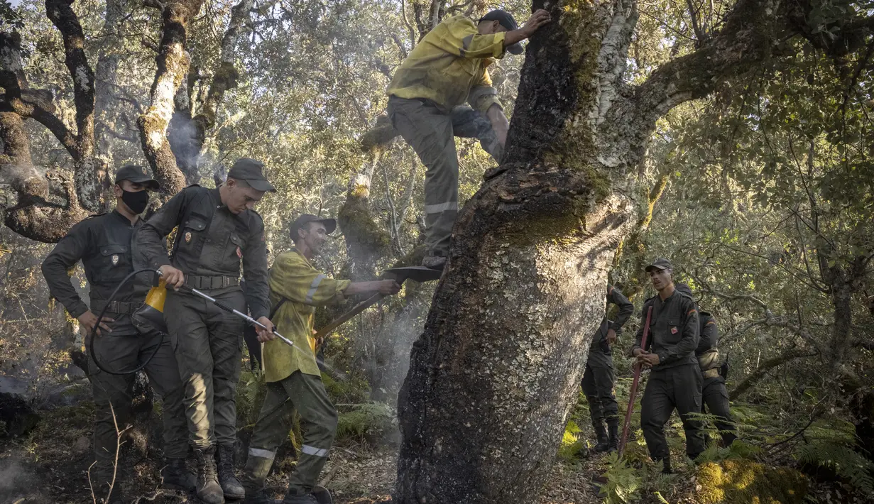 Petugas pemadam kebakaran berjuang melawan kebakaran hutan di wilayah Chefchaouen, Maroko, 17 Agustus 2021. Pesawat pemadam kebakaran digunakan untuk mengatasi kebakaran yang telah menghancurkan sekitar 200 hektare hutan. (FADEL SENNA/AFP)