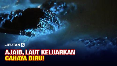 VIDEO: Fenomena Langka Air Laut Keluarkan Cahaya Biru!
