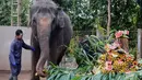 Setiap tanggal 12 Agustus diperingati sebagai Hari Gajah Sedunia, atau World Elephant Day. (AP Photo/Firdia Lisnawati)