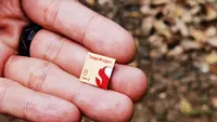 Snapdragon 8 Gen 2 di ponsel Android apa? (Liputan6.com/ Yuslianson)