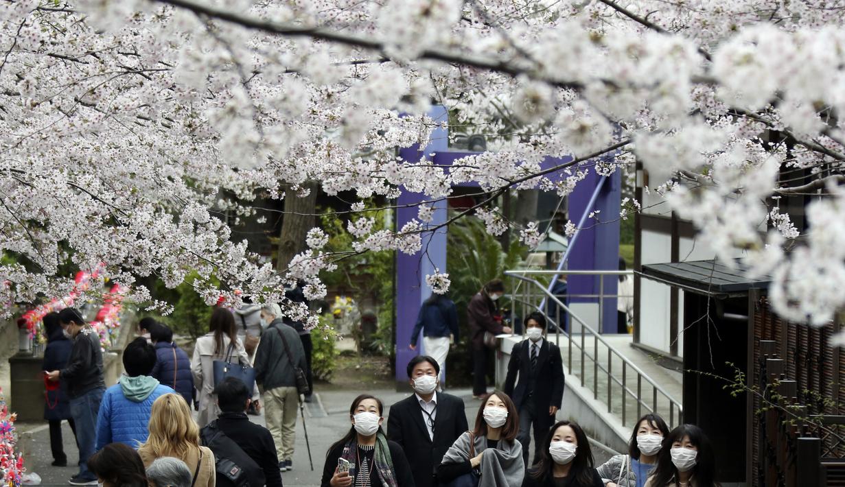 Orang-orang yang memakai masker berjalan-jalan di bawah bunga sakura yang mekar penuh di Kuil Zojoji, Tokyo, Jepang, Selasa (29/3/2022). (AP Photo/Koji Sasahara)