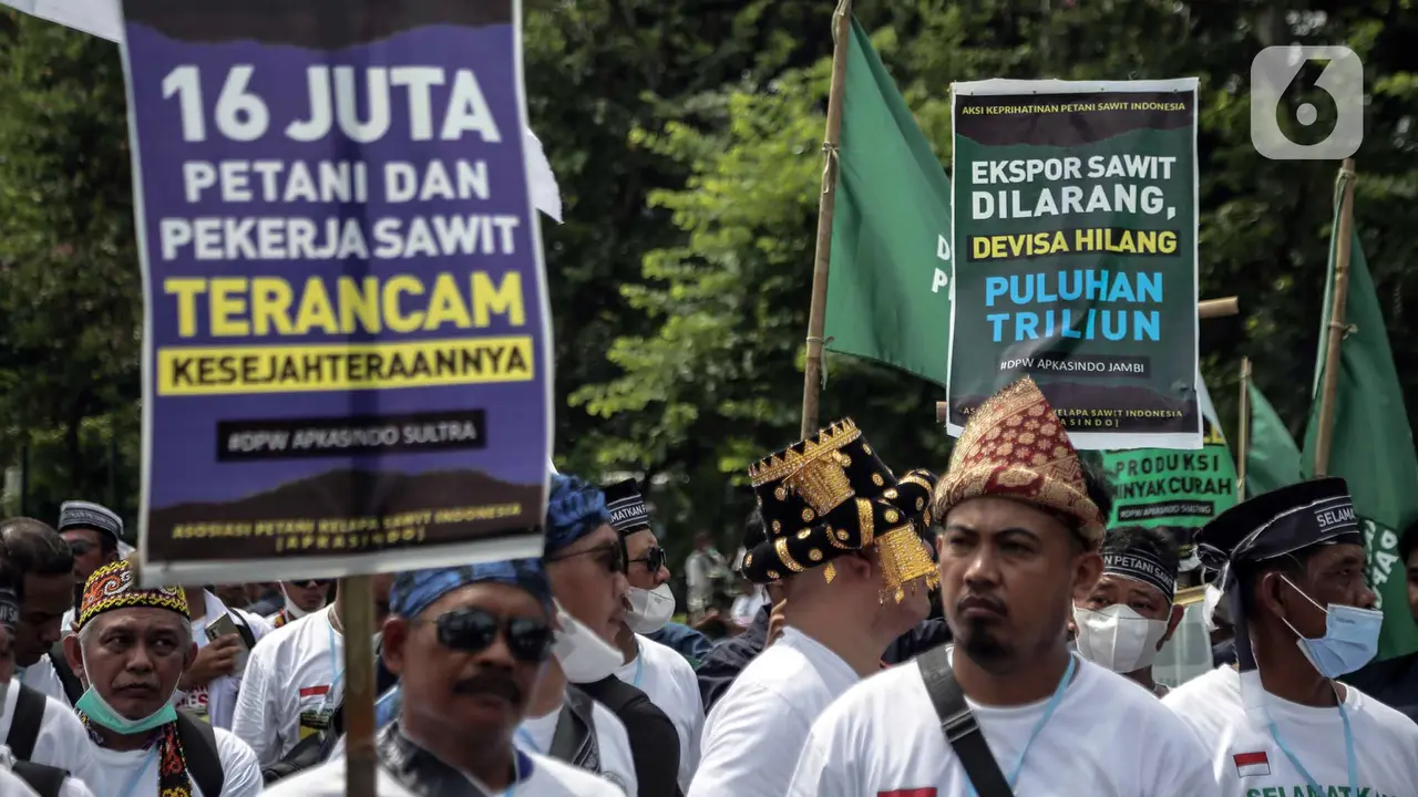 Unjuk Rasa Petani Kelapa Sawit Terkait Larangan Ekspor