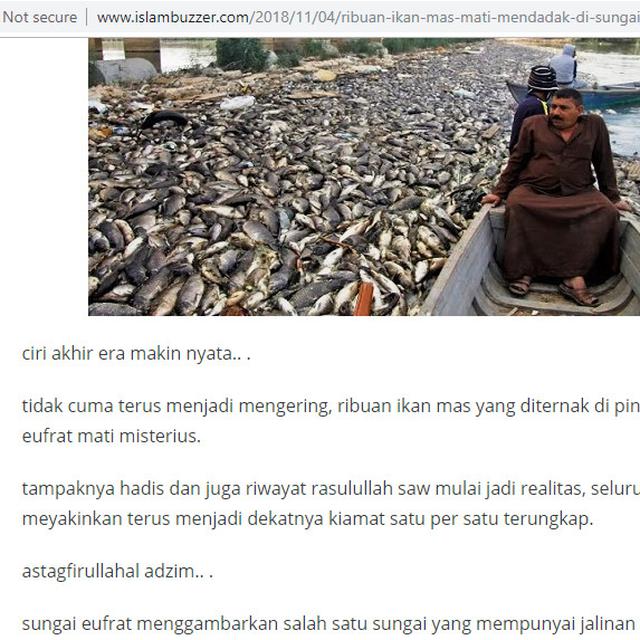 Cek Fakta Ribuan Ikan Mas Mati Mendadak Di Sungai Eufrat Adalah Pertanda Kiamat Faktanya Cek Fakta Liputan6 Com