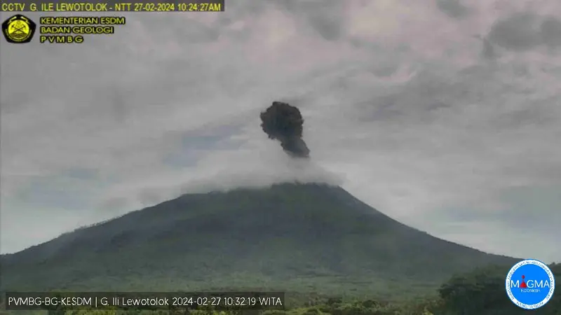 Gunung Ili Lewotolok Meletus