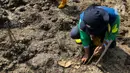 Hal tersebut dikarenakan hutan mangrove, di samping menjadi penahan abrasi, juga mempunyai daya serap karbon lima kali lipat dari hutan daratan. (Liputan6.com/Herman Zakharia)