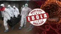 Ilustrasi Virus Ebola (Liputan6.com/Sangaji)