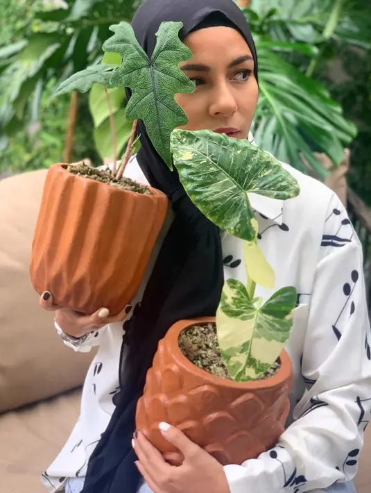 Bicara soal koleksi tanamannya memang sudah banyak, namun Meisya mengakui tidak semuanya dibeli dengan harga yang tinggi. Ia pun hingga kini masih terus belajar cara merawat tanaman yang baik. (Instagram/meisya_siregar)