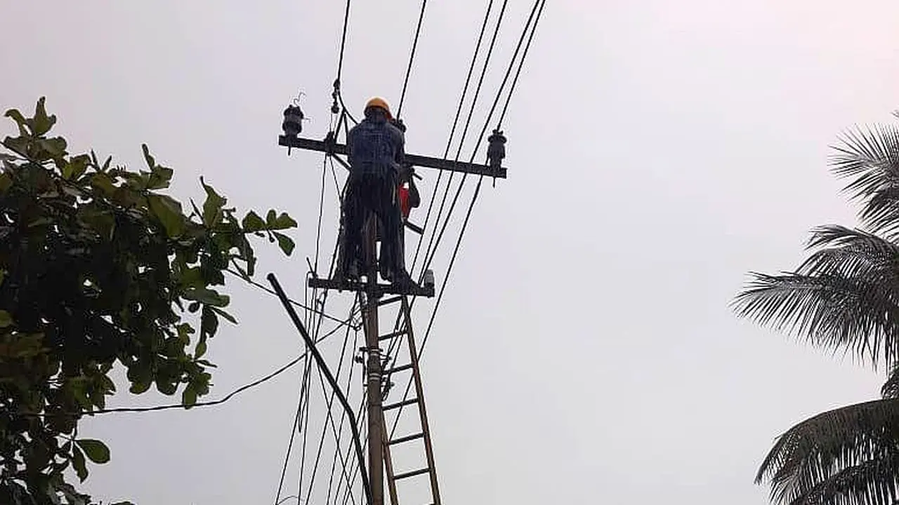 PLN telah memulihkan 463 Gardu Distribusi dari 872 Gardu Distribusi di daerah terdampak gempa dengan magnitudo 6,2 skala richter (SR) yang mengguncang Mamuju dan Majene. (Dok PLN)