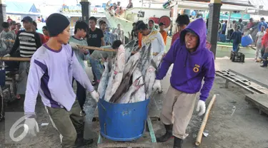 Nelayan membawa tangkapan ikan hiu hasil melaut ke pelelangan ikan, Karangsong, Indramayu, Jawa Barat, Kamis (16/6/2015). Meski sudah ada larangan perburuan dan perdagangan, nelayan setempat masih memperdagangkan sirip hiu. (Liputan6.com/Herman Zakharia)