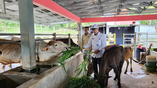 Dukung Ketahanan Pangan Nasional, Kemenimipas Siap Optimalkan Lahan Produktif di Nusakambangan