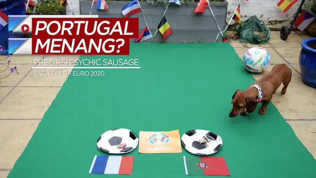 Berita video anjing Psychic Sausage memprediksi Timnas Portugal akan mengalahkan Timnas Prancis pada laga terakhirnya di Grup F Euro 2020.