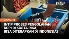 Liputan6.com berkesempatan mengunjungi Hacienda Alsacia di Provinsi Alajuela, Kosta Rika. Di perkebunan kopi seluas sekitar 240 hektare ini, kopi tidak hanya diperlakukan sebagai komoditas, tetapi juga bagian dari riset, keberlanjutan, dan perlindung...