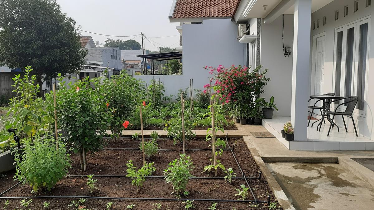 8 Ide Kebun Mini di Rumah dengan Sistem Irigasi Tetes, Hemat Air dan Praktis