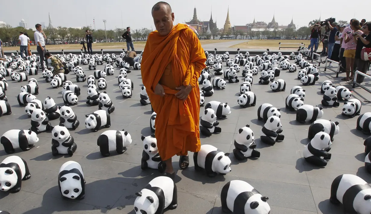 Seorang biksu Buddha berjalan diantara sejumlah patung Panda berjejer di depan Grand Palace, Bangkok , Thailand , 4 Maret 2016. Patung Panda ini merupakan pameran yang dibuat oleh seniman Perancis Paulo Grangeon. (REUTERS / Chaiwat Subprasom)
