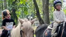 Melalui akun instagramnya, Zaskia tampak beberapa kali membagikan momen Ukkasya naik kuda. Meski usianya baru dua tahun, tapi ia terlihat sudah berani sendiri naik kuda. [Instagram/zaskiasungkar15]
