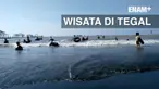 Libur lebaran warga memanfaatkan wargembawaa Tegal untuk berkunjung ke pantai. Hal ini mendatangkan keberuntungan bagi para pemilik sewa ban di pantai Tegal. dalam sehari mereka mendapatkan uang hingga ratusan ribu rupiah