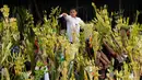 Pada hari ini, Minggu 29 Maret 2026, umat Kristiani beramai-ramai membawa daun palem untuk diberkati ke gereja sebagai simbol penghormatan dan kemenangan, menyambut Yesus sebagai Raja dalam kehidupan sehari-hari. Tampak dalam foto, seorang pekerja gereja memercikkan air suci ke daun palem para umat selama upacara pemberkatan di luar Katedral Antipolo, kota Antipolo, provinsi Rizal, Filipina, saat memperingati Minggu Palma, 29 Maret 2026. (AP Photo/Aaron Favila)