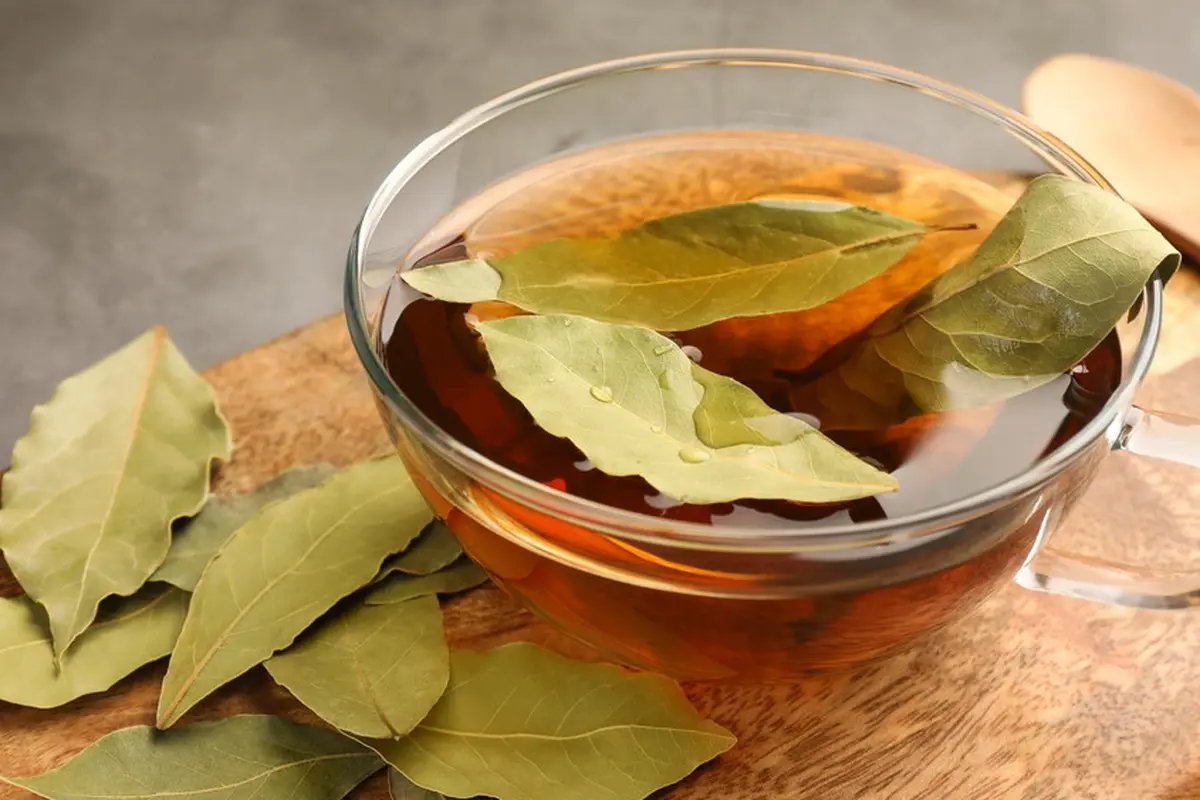 teh daun salam jahe