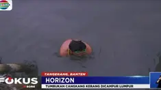 Ikan-ikan hasil tangkapannya ini kemudian dijual ke seorang pengumpul seharga Rp 25 ribu per kilogram.