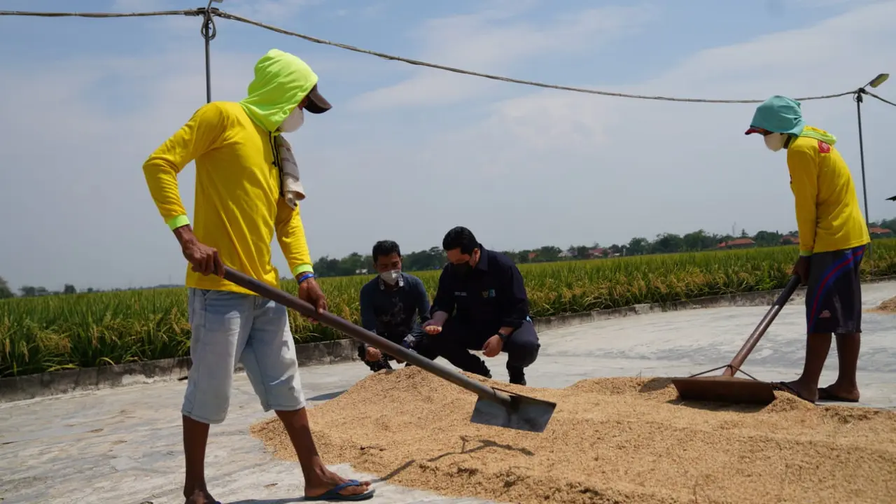Menteri BUMN, Erick Thohir bersama Direktur Utama BRI, Sunarso  Rice Mill Unit (RMU) di daerah lumbung padi Jawa Barat. Dok BUMN