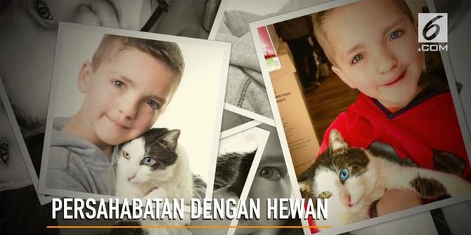 VIDEO: Warna Mata Sama, Bocah dan Kucing Bersahabat