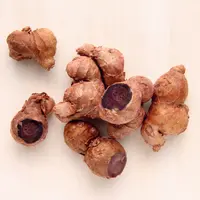 ilustrasi kunyit hitam/m-desiign/Shutterstock