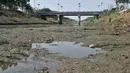 Pemandangan aliran Kanal Banjir Timur, Jakarta, Rabu (7/8/2019). Kemarau berkepanjangan mengakibatkan debit air Kanal Banjir Timur menyusut hingga dasar aliran terlihat. (merdeka.com/Iqbal Nugroho)