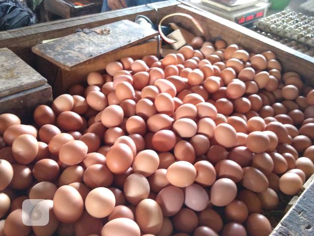 Abang Teloq Grade A Telur Harga : Abang Teloq Senarai Gred Telur Ayam