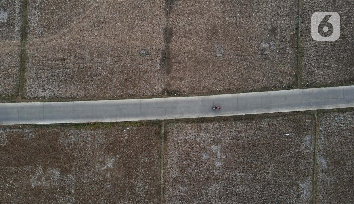 Akibatnya, areal persawahan yang kering kerontang ini pun tak bisa ditanami. (merdeka.com/Imam Buhori)