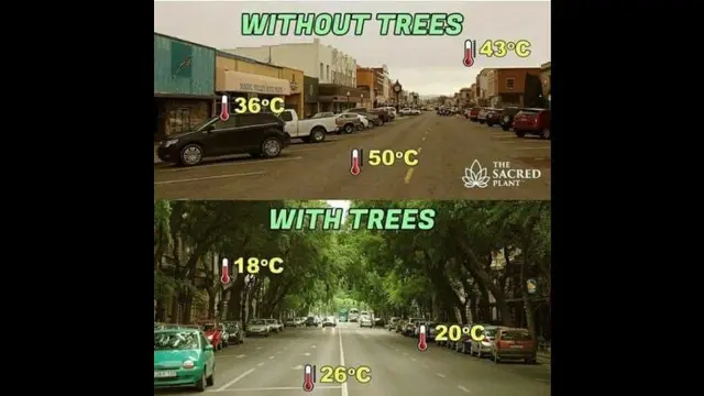 Meme Otomotif