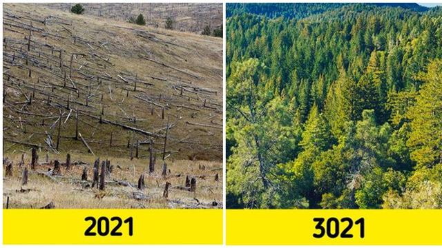 6 Potret Penampakan Bumi 1.000 Tahun Mendatang, Hewan Peliharaan Perlahan Punah