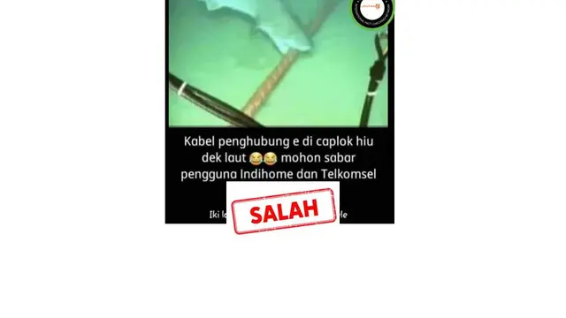 Cek Fakta hiu memakan kabel jaringan Internet Telkom