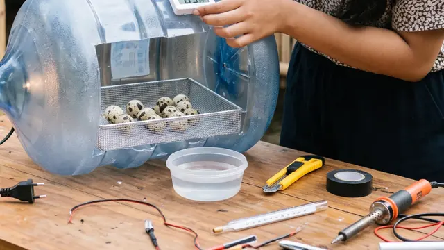 Cara Membuat Mesin Penetas Telur Mini dari Galon Bekas