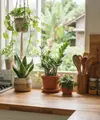 Tanaman hias yang tidak mudah layu meski dekat area memasak dan bikin Bunda tidak setress saat di dapur (AI generated)