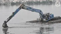 Waduk Pluit Berstatus Siaga Pagi Ini, Pintu Air Lain di Jakarta Masih Normal