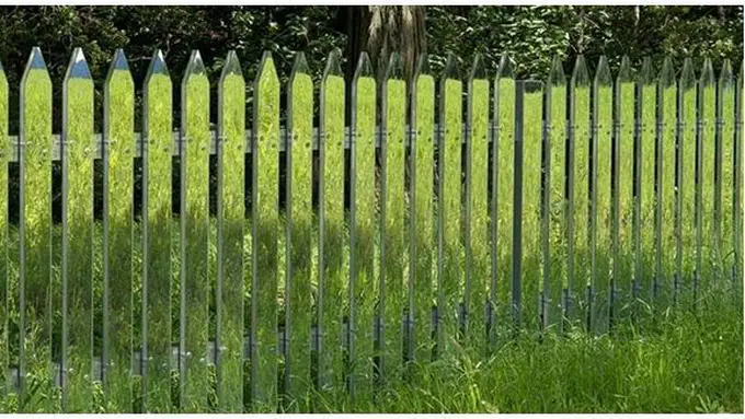 Foto : copyright boredpanda.com