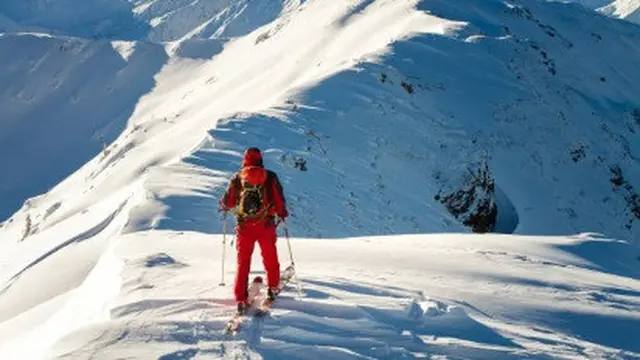 Ilustrasi pemain ski.