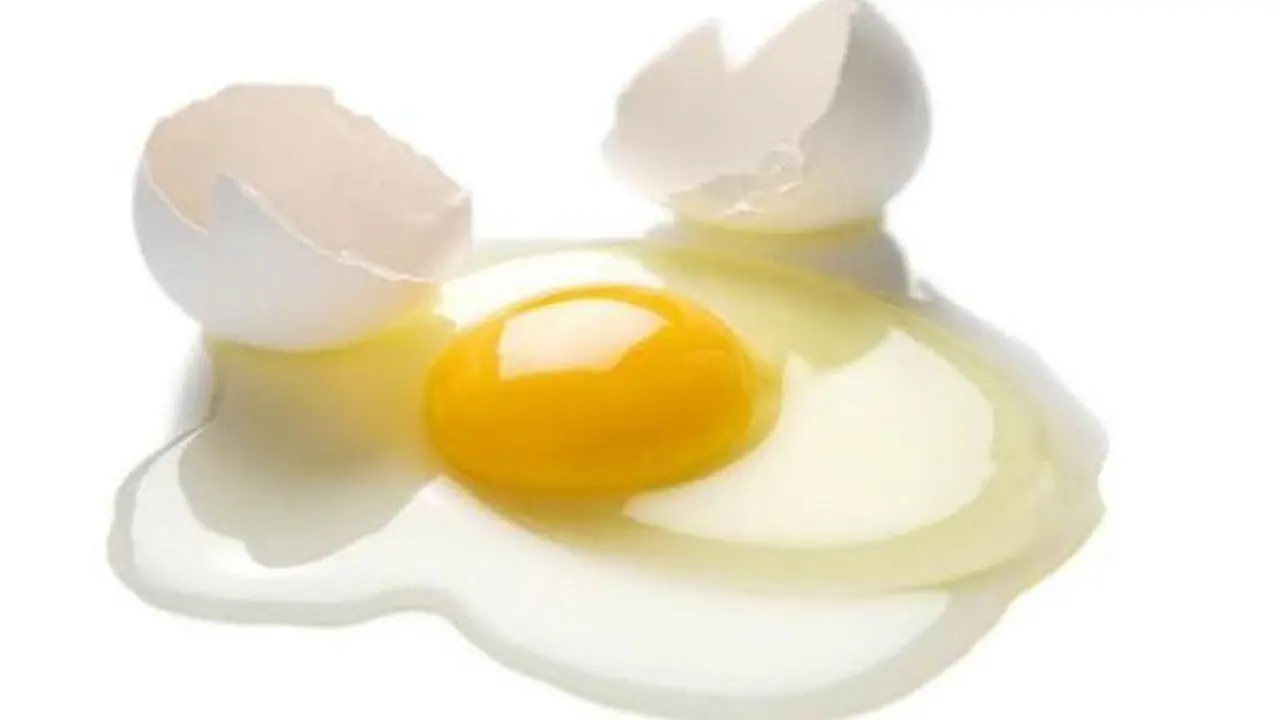 Telur
