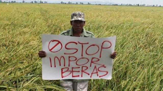 Ketersediaan Beras Melimpah Pemprov Jabar dan Jateng Minta Tutup Keran Impor