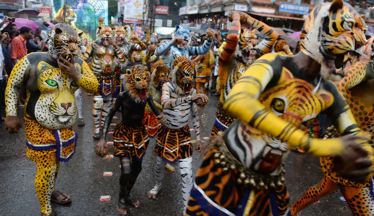 Sejumlah peserta dengan tubuh dilukis seperti harimau saat ambil bagian dalam 'Pulikali', atau tarian harimau, di Thrissur, India (7/9). Acara kesenian rakyat ini diadakan setiap tahun di kota selama festival 'Onam'. (AFP Photo/Arun Sankar)