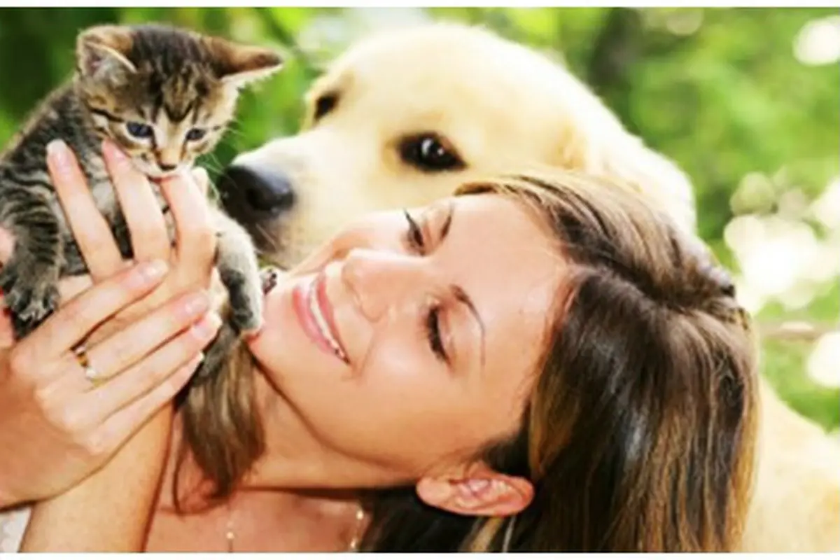 Foto: copyright shutterstock.com