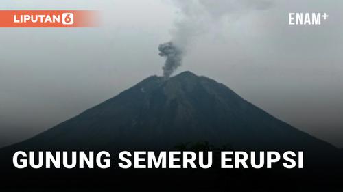 VIDEO: Gunung Semeru Erupsi, Abu Setinggi 500 Meter Disemburkan