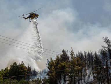 Sebuah helikopter menjatuhkan air ke hutan di atas pepohonan setelah kebakaran hutan di dekat Desa Psachna di pulau Evia (Euboea), pulau terbesar kedua di Yunani, pada 27 Juli 2025. (Angelos TZORTZINIS/AFP)