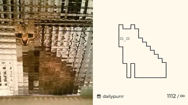 8 Gambar Kucing yang Tak Sesuai Ekspektasi, Ternyata Hasilnya Bikin Salut