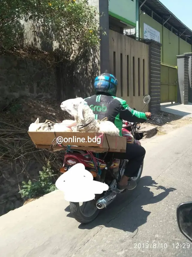 cara kocak driver ojol bawa orderan